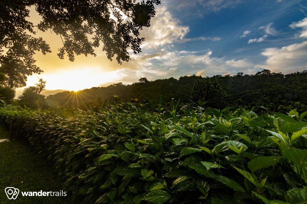 Whispering Willows Gudalur  外观 照片